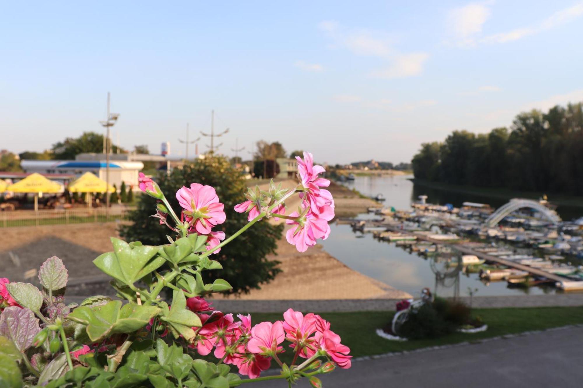 Apartments Marina Apatin Buitenkant foto